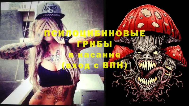 Галлюциногенные грибы Magic Shrooms  Верхнеуральск 